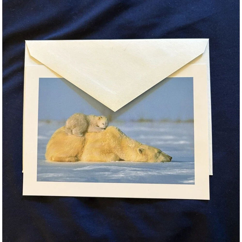 Generic Card with White Envelope | Polar Bear With Baby design by EDF